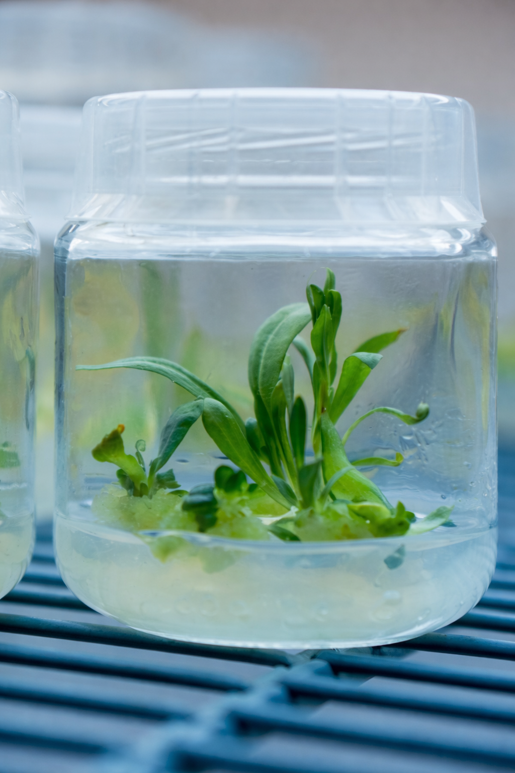 Biotech Research Lab